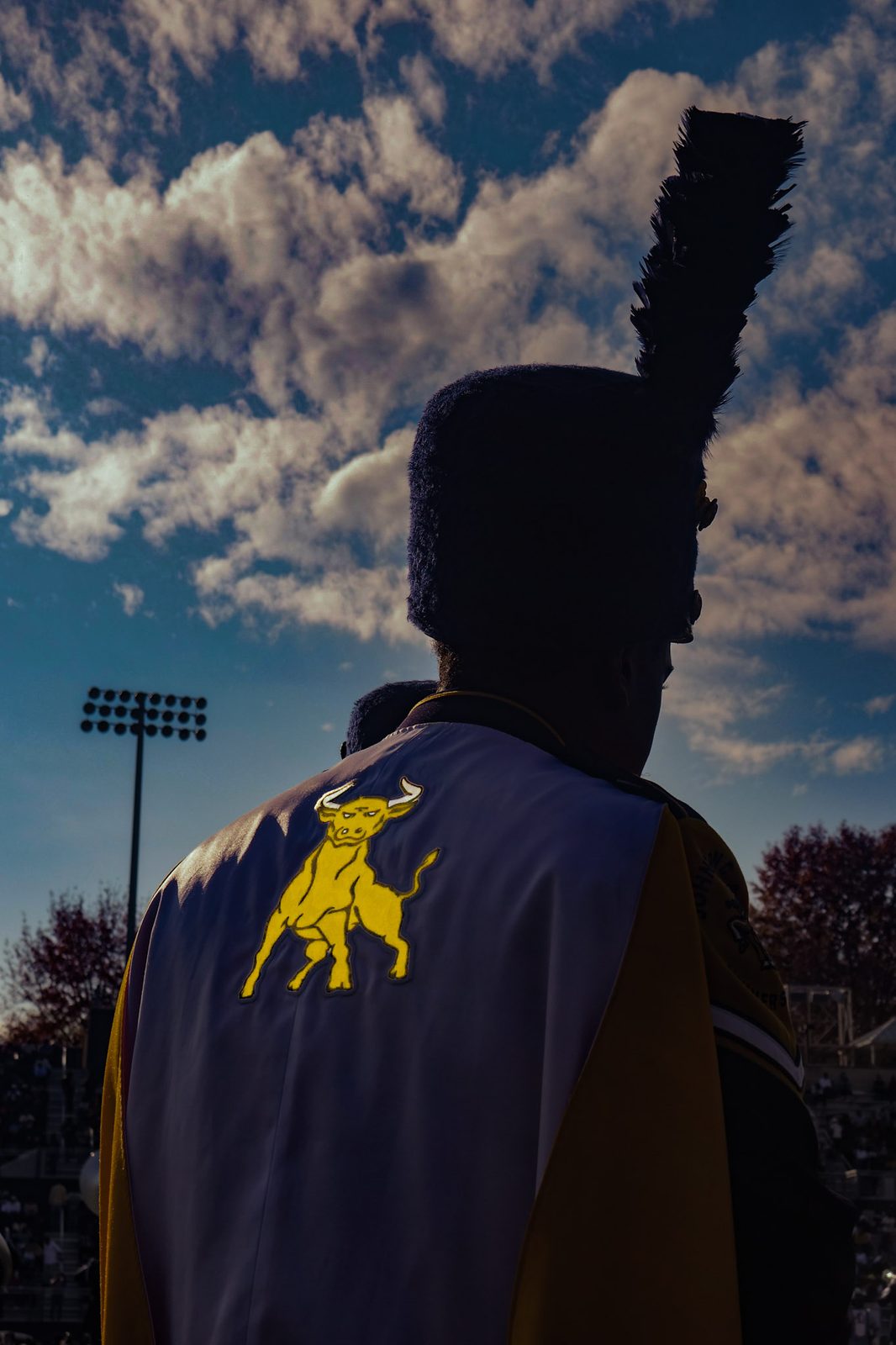 A plumed shako against the sky