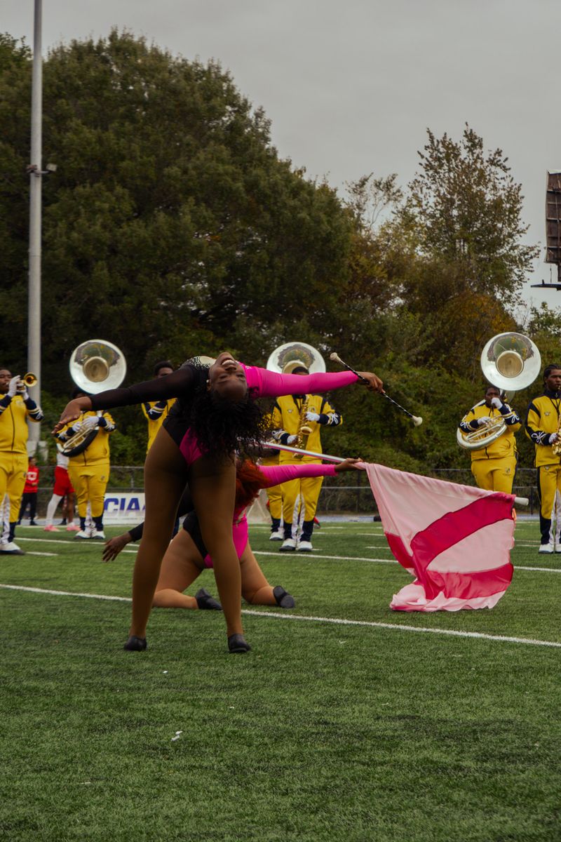 The IIOS in performance