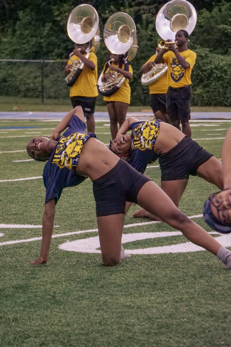 An IIOS auxiliary member performing on the field