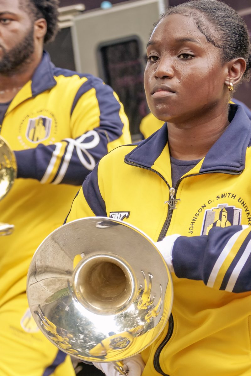 The IIOS in performance