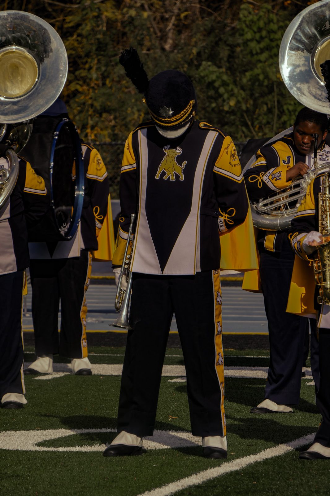 The IIOS in performance